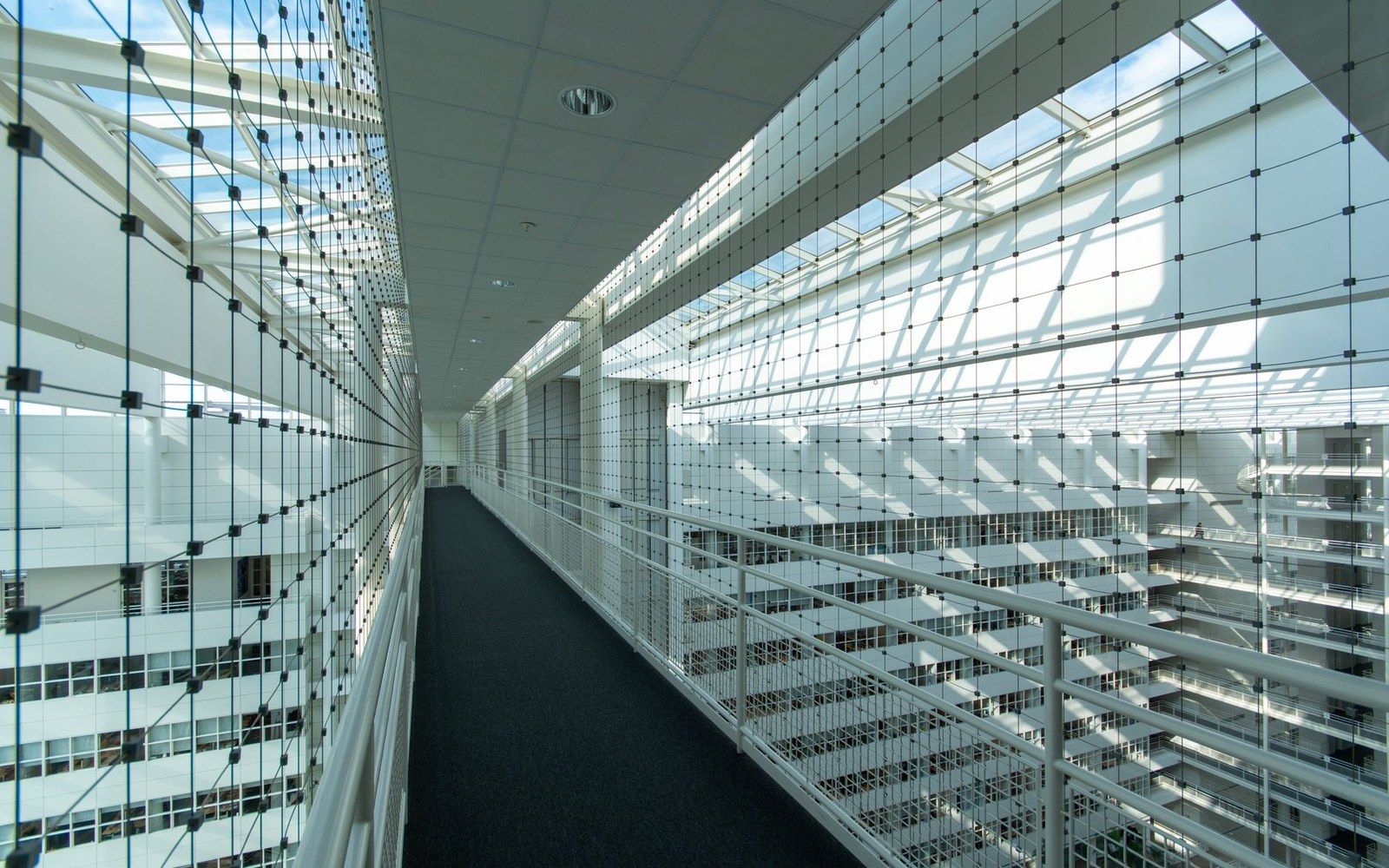 Glass-walled skybridge with a grid facade connecting sunlit office floors